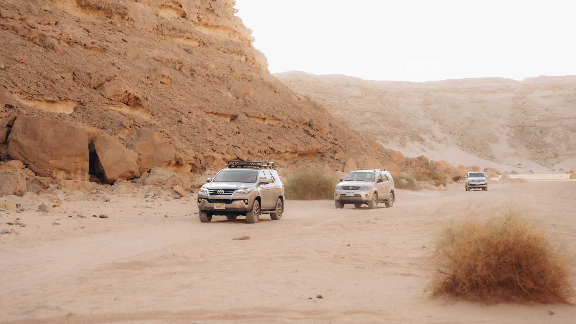 Exklusive Canyon-Safari mit Sonnenuntergang, BBQ & Sternenbeobachtung